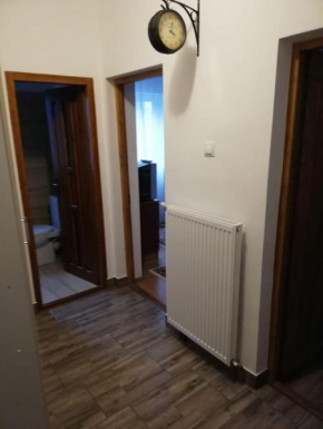 Cozy apartment in Sovata Resort